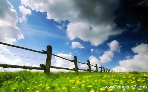 �����޽�������2026.2.114