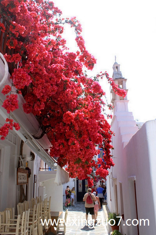 ���ƶ���������2025.7.144