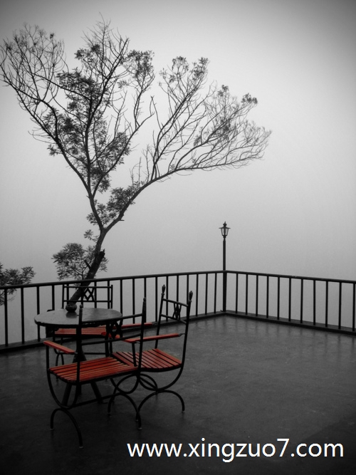 ���ƶ���������2025.11.173