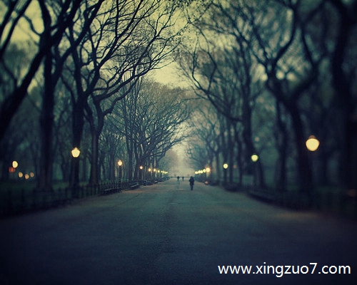 ȵǽ2024.1.193