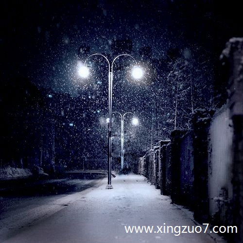 �����޽�������2025.12.254