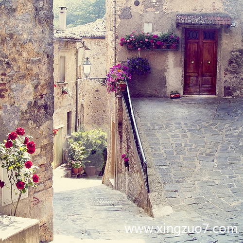 �귨���������2025.12.21