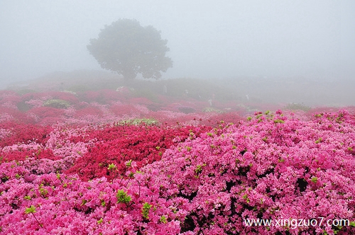 �����һ����������(2025.7.7-7.13)1