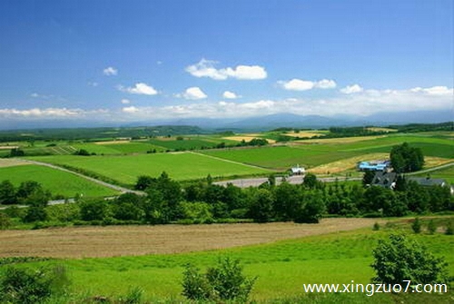 最塔罗今日运势2025.6.232 最塔罗今日运势2025.6.232