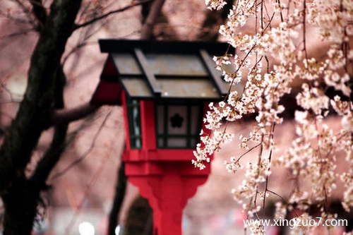 ��ɺ���ս�������2026.3.222