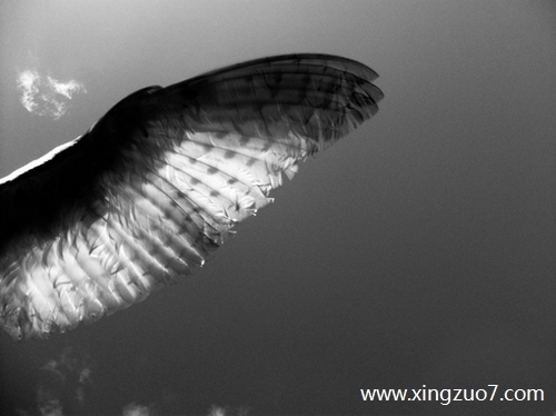 �����޽�������2025.10.223