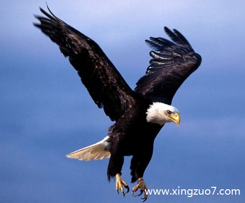 �����޽�������2026.3.173