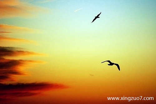 ����俽�������2026.4.231