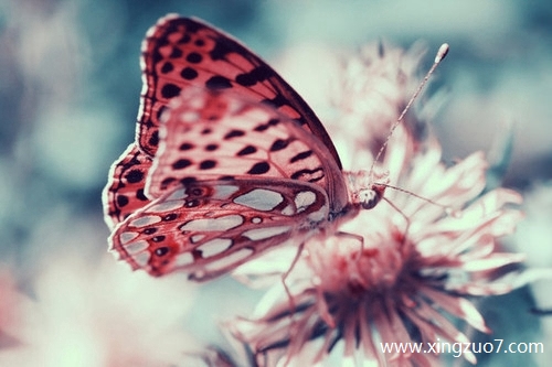 Astro��������2025.7.181