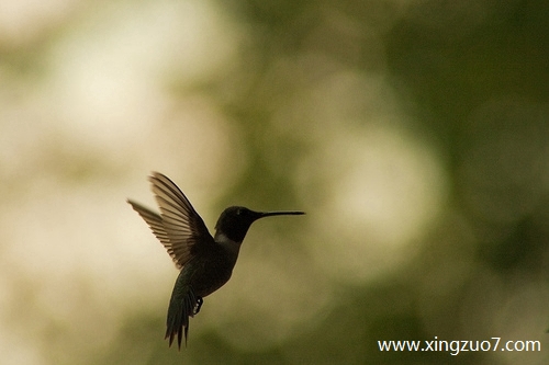 ���ƶ���������2025.7.173