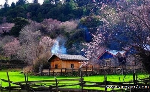 ���ƶ���������2026.2.114