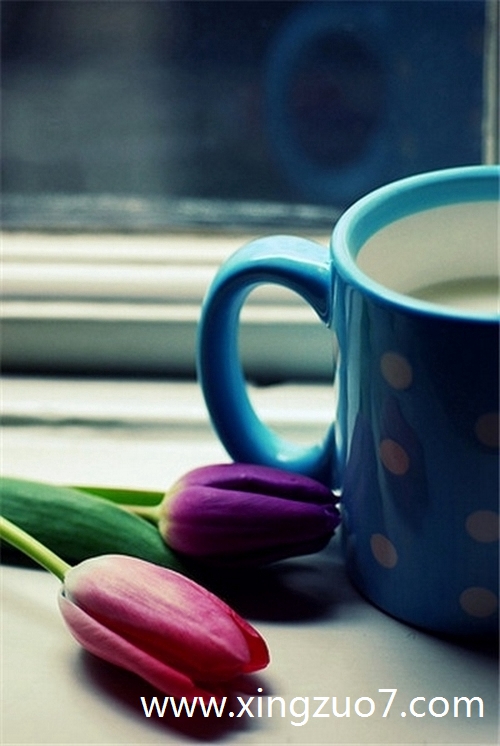 èʯ�Ի���������2025.8.92