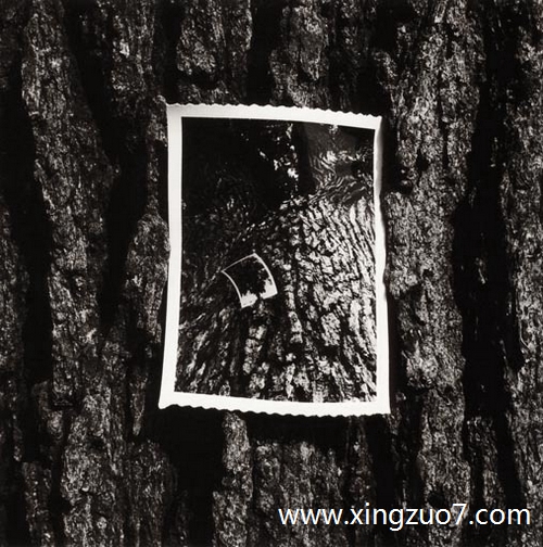 Astro��������2025.3.171