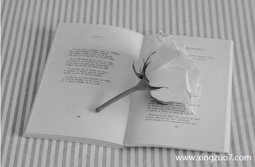 �귨���������2025.4.63