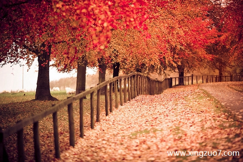 ��ɺ���ս�������2025.12.34