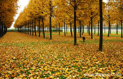 �����2026��4����������3