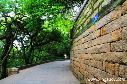 �귨���������2024.12.84