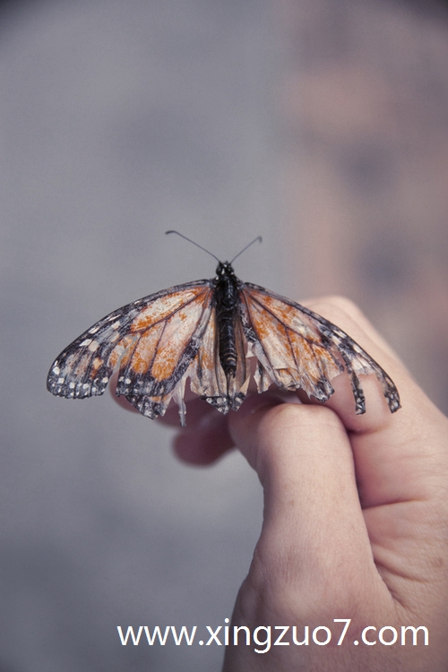 ���½�������2025.5.13