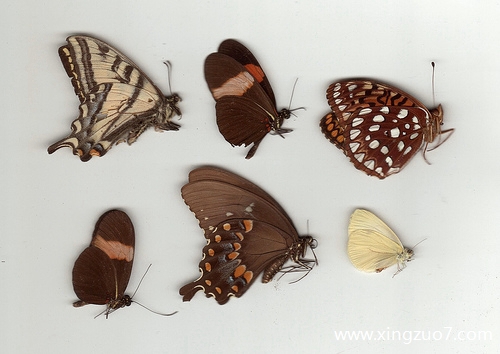 �귨���������2025.7.314