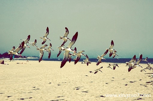 ��ɺ���ս�������2024.11.301