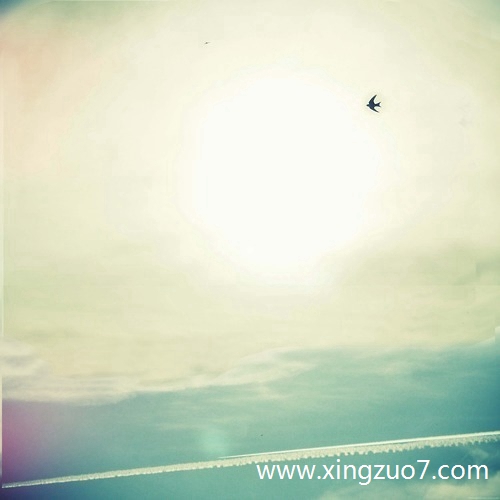 俽2024.12.102