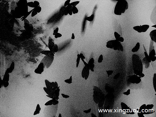 Astro��������2025.11.114