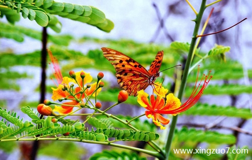 ����俽�������2026.4.241