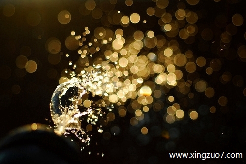 ȵǽ2024.2.64