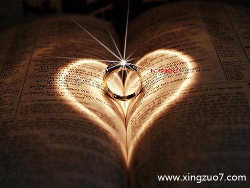 最塔罗今日运势2024.11.111 最塔罗今日运势2024.11.111