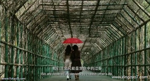 猫石对话今日运势2024.2.213 猫石对话今日运势2024.2.213