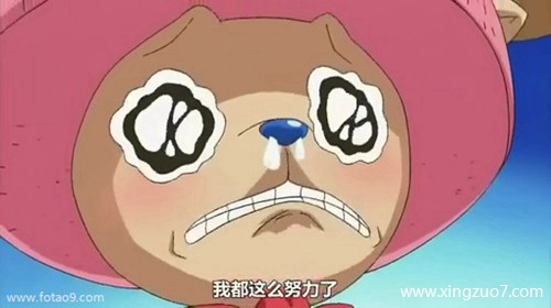 猫石对话今日运势2025.1.291 猫石对话今日运势2025.1.291