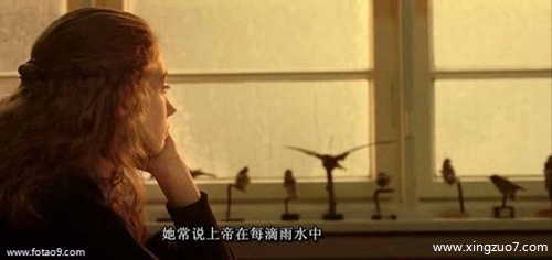 ���ƶ���������2025.7.113