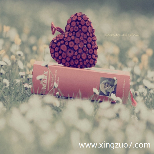 艾菲尔今日运势2025.6.234 艾菲尔今日运势2025.6.234