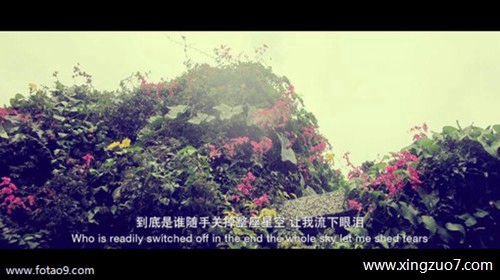 ���½�������2025.6.271