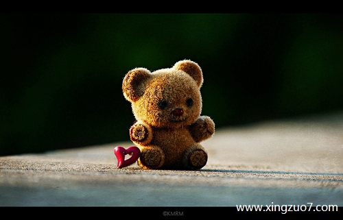 ����俽�������2025.12.214