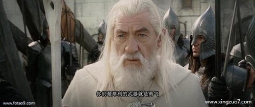 猫石对话今日运势2023.1.81 猫石对话今日运势2023.1.81