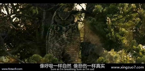 玛法达今日运势2024.12.93 玛法达今日运势2024.12.93