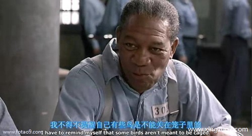 俽2024.4.232