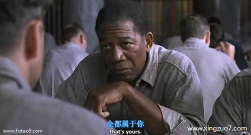 猫石对话今日运势2022.12.264 猫石对话今日运势2022.12.264