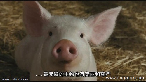 苏珊米勒一周星座运势(2024.9.30-10.6)3 苏珊米勒一周星座运势(2024.9.30-10.6)3