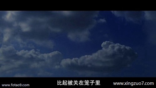 苏珊米勒今日运势2025.2.64 苏珊米勒今日运势2025.2.64