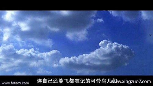 ȵһ(2024.7.15-7.21)2