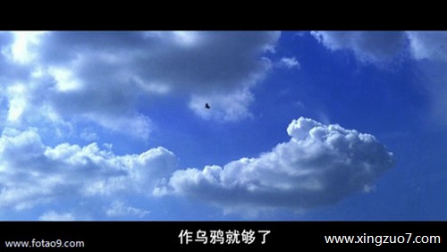 猫石对话今日运势2024.2.292 猫石对话今日运势2024.2.292