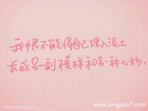 玛法达今日运势2024.8.314 玛法达今日运势2024.8.314