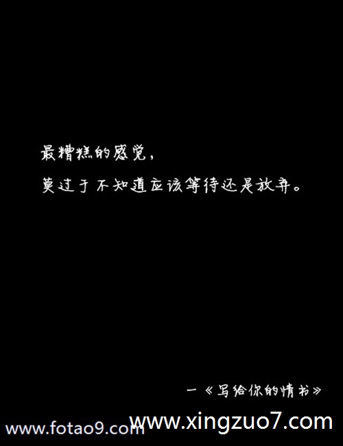猫石对话今日运势2024.11.33 猫石对话今日运势2024.11.33
