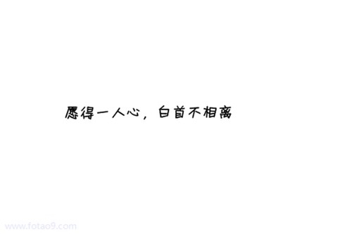 猫石对话今日运势2025.8.43 猫石对话今日运势2025.8.43