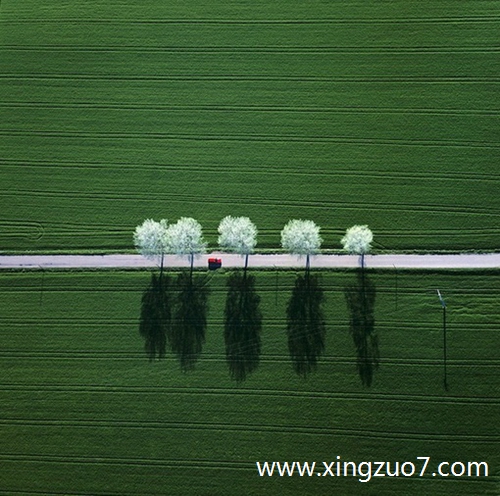 ȵǽ2024.5.114