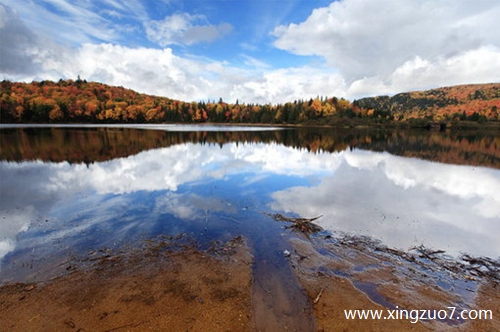 ���ƶ���������2025.3.192