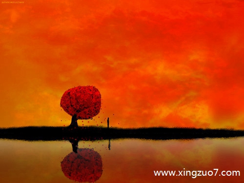 ����俽�������2026.1.281