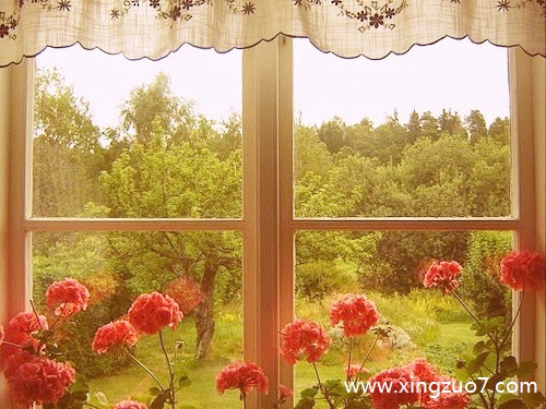 �귨���������2025.6.162